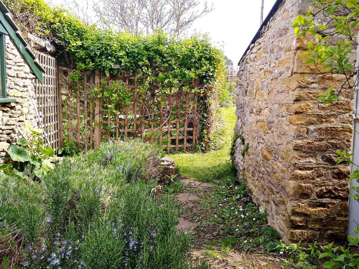 Badgers Cottage Weymouth Ngoại thất bức ảnh